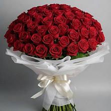 Букет 101 Красная роза Блэк Мэджик в Редино