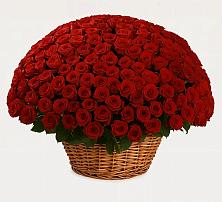 Премиум букет из: Розы в Редино